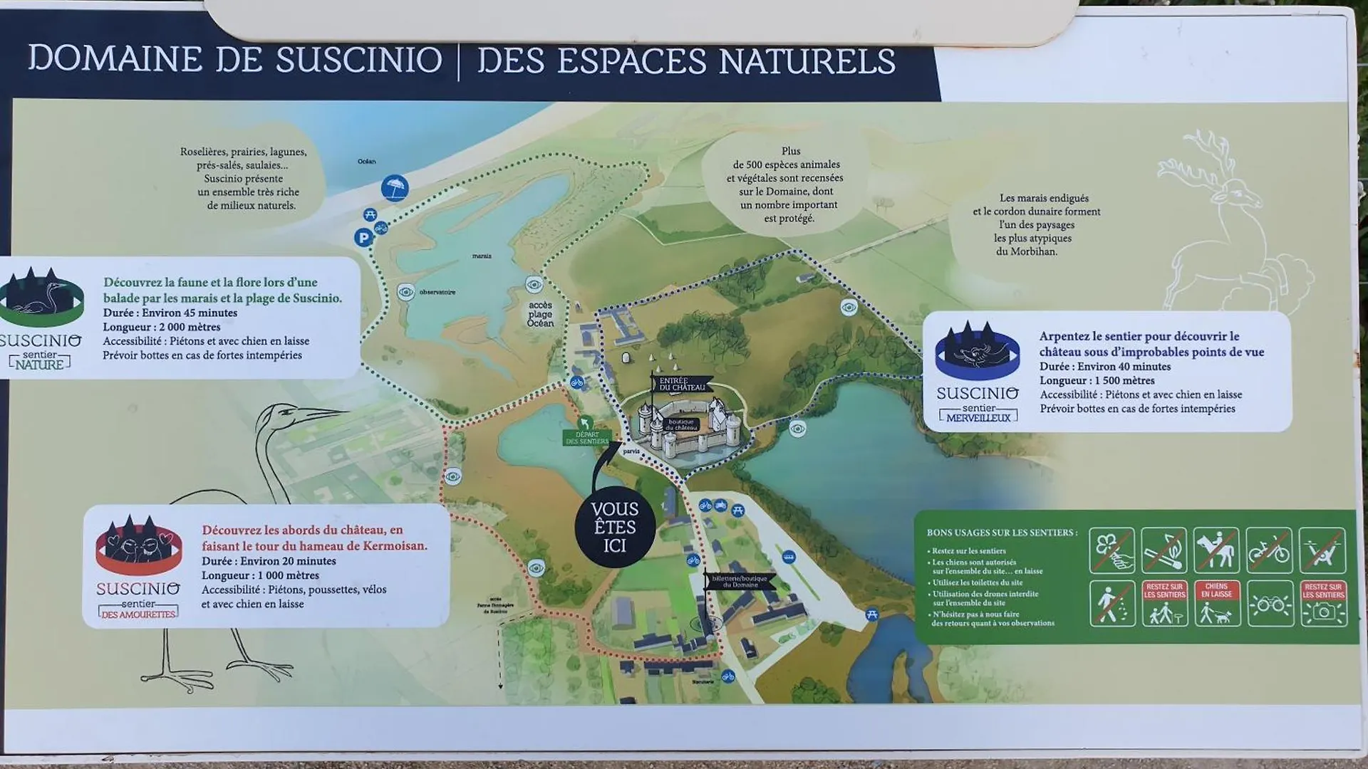 Maison de vacances à Sarzeau à 5 min de la plage à pieds France
